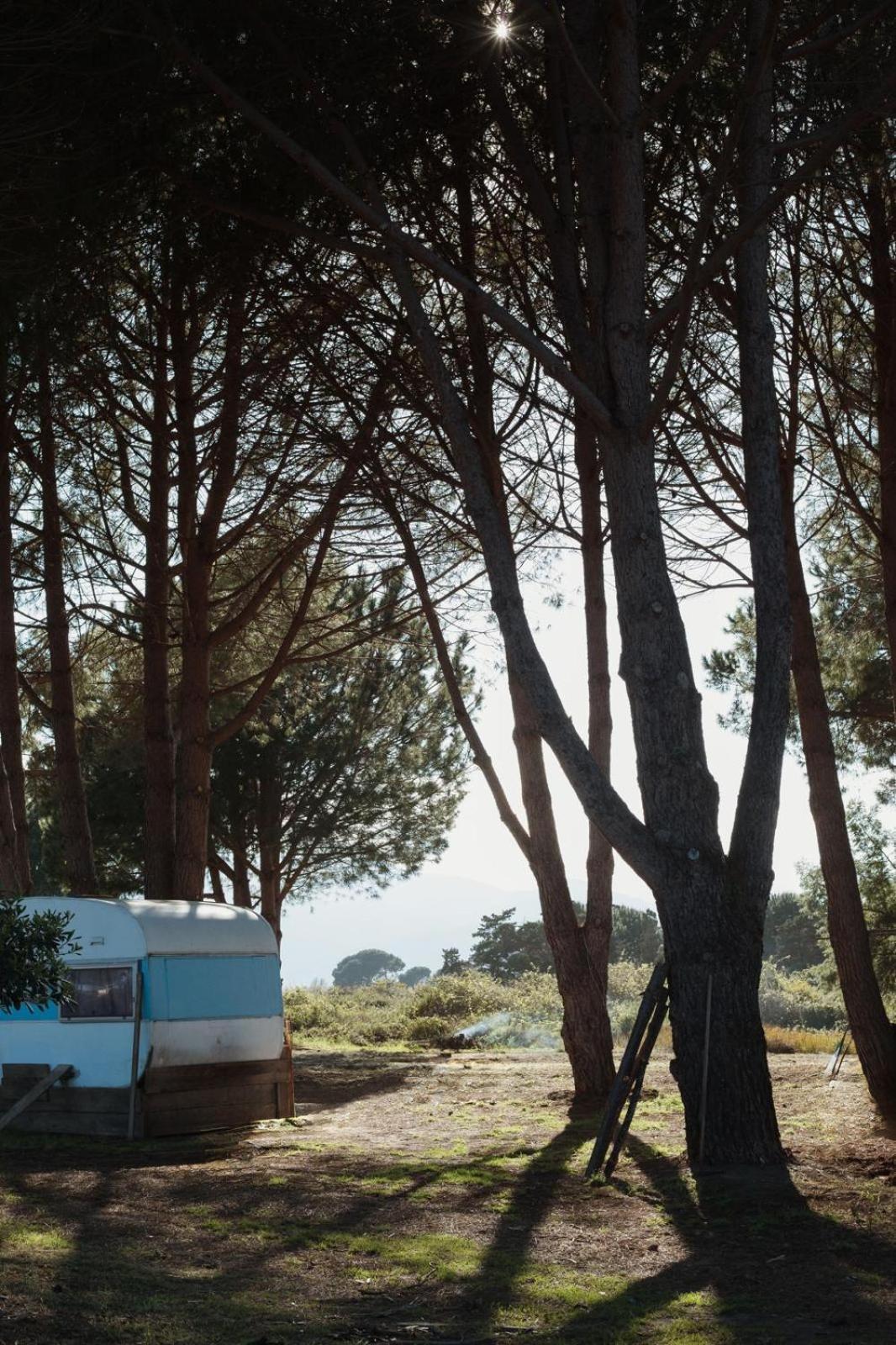 Caravane Janis On The Beach لوسيانا المظهر الخارجي الصورة